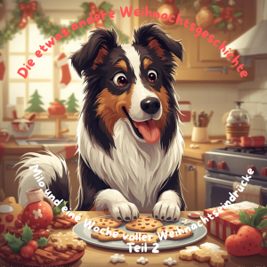 Eine Woche voller Weihnachtseindrücke Teil 2