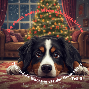 Eine Woche voller Weihnachtseindrücke