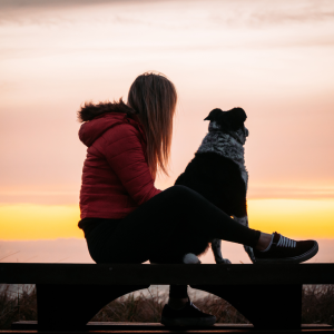 Mensch und Hund Sonnenuntergang